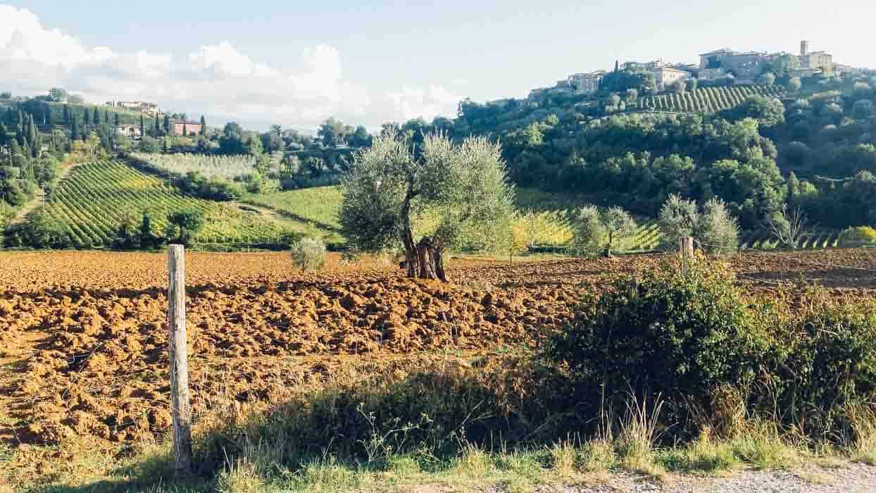 A week in Tuscany: San Gimignano, Val D'Orcia, Cortona| Very EATalian