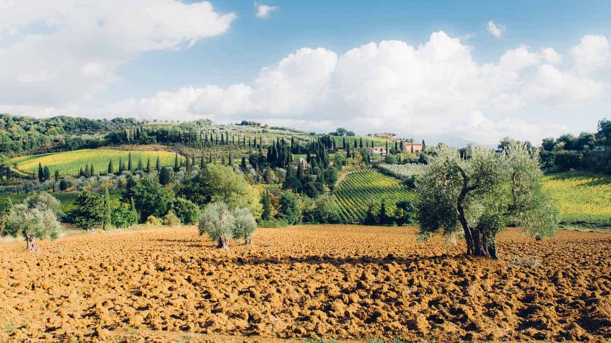 TMy trip in Tuscany: incredible view from Sant'Antimo| Very EATalian