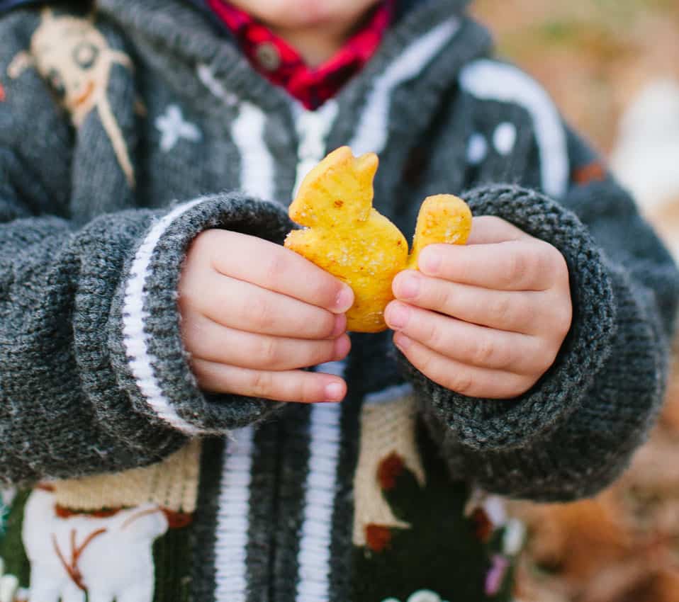 Pumpkin cookies | Very EATalian