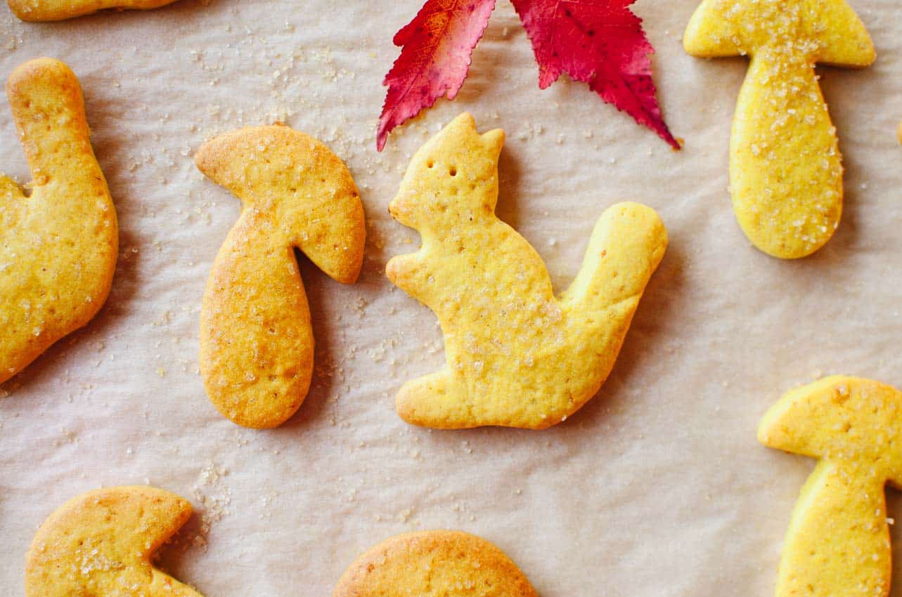 Pumpkin Cookies | Very EATalian