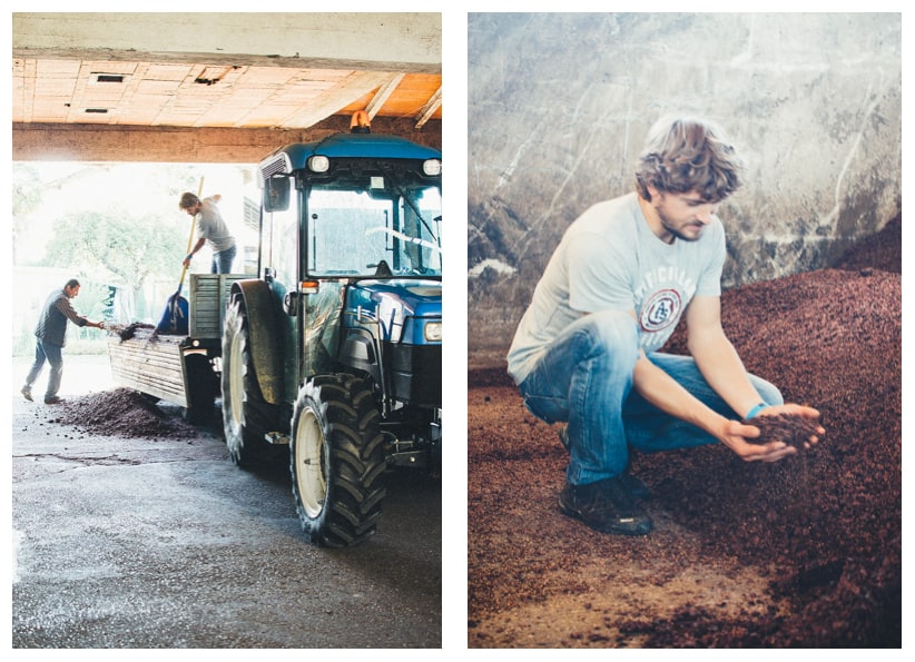 Behind the Scenes of a Grappa Distillery | Very EATalian