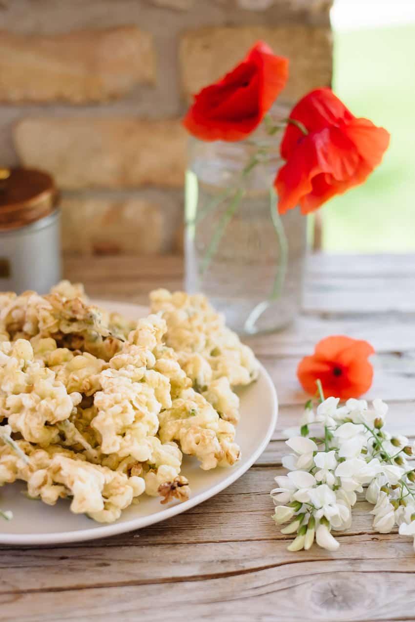 Acacia Flower Fritters | Very EATalian 