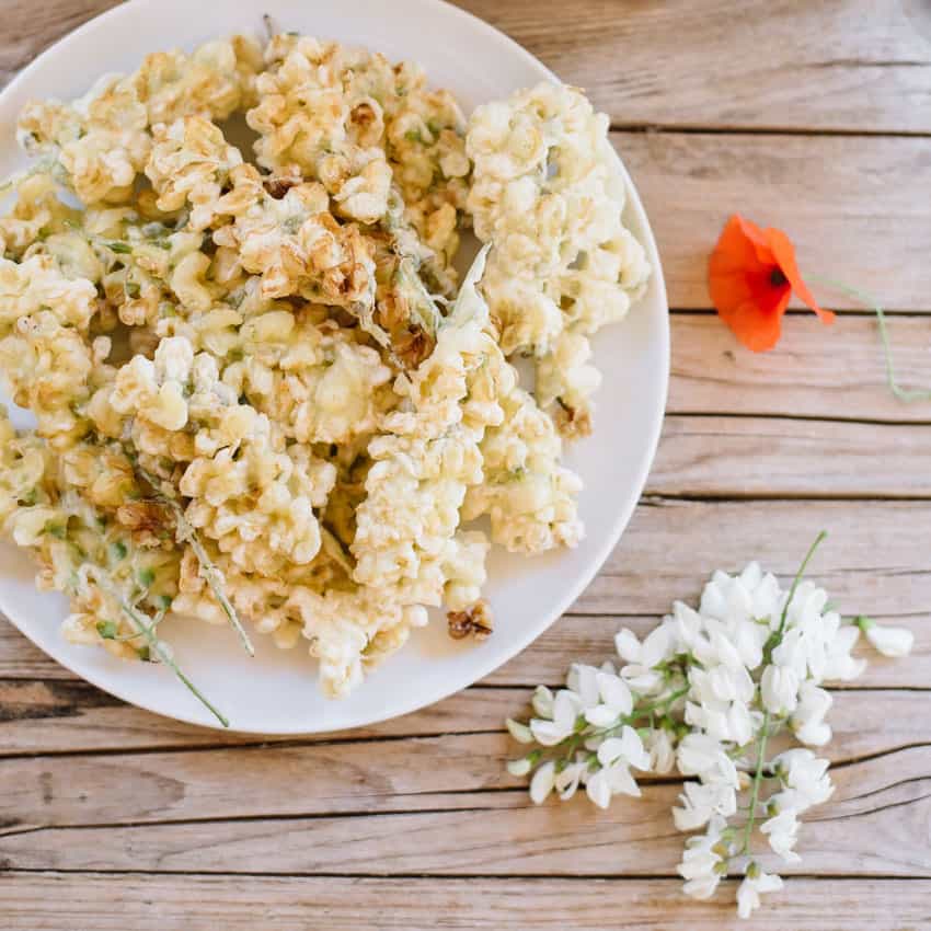 Acacia Flower Fritters | Very EATalian