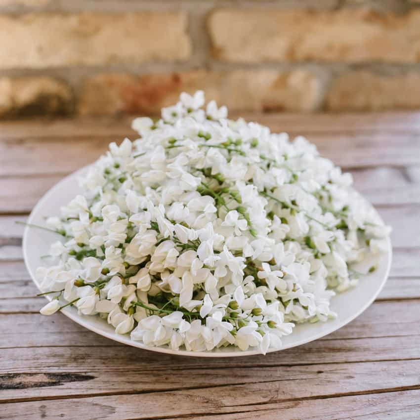 Acacia Flower Fritters | Very EATalian