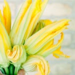 Crispy Fried Zucchini Blossoms